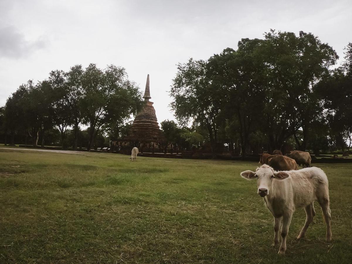 Naracha Resort เมืองเก่า ภายนอก รูปภาพ